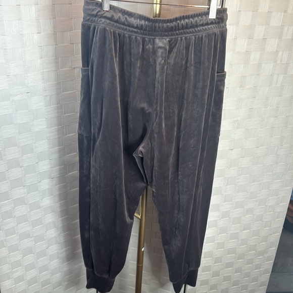 Offline By Aerie Velour Joggers - Picture 7 of 7